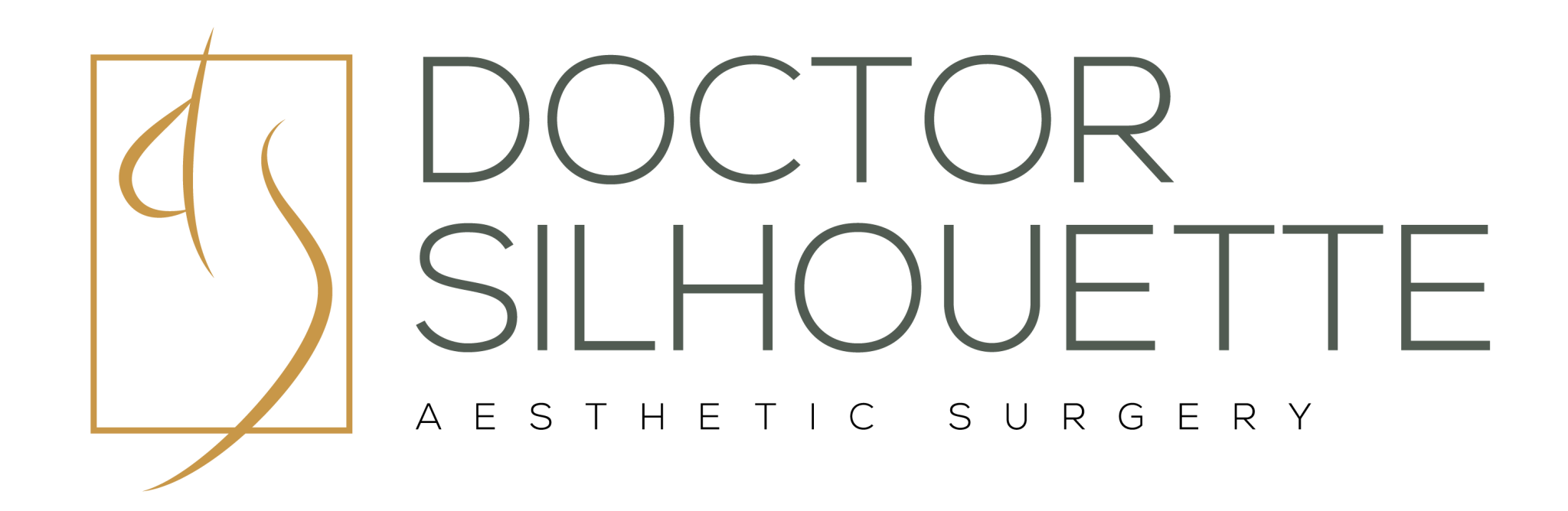 Doctor Silhouette